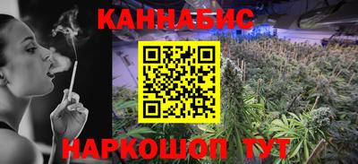 крисы Новозыбков