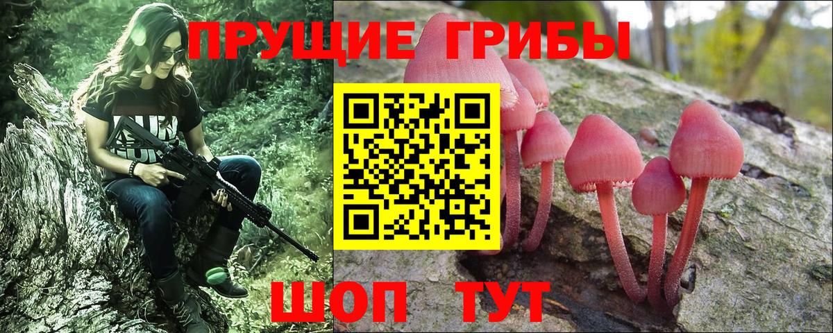 Усолье-Сибирское  Галлюциногенные грибы Magic Shrooms  Вход с VPN 