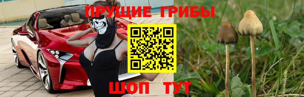 Псилоцибиновые грибы мицелий Усолье-Сибирское